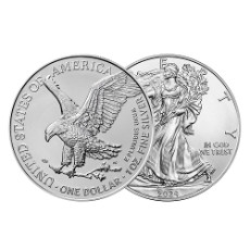 2024 1온스 실버 이글 불리온 주화(Coin) 1$(USD) 20ea